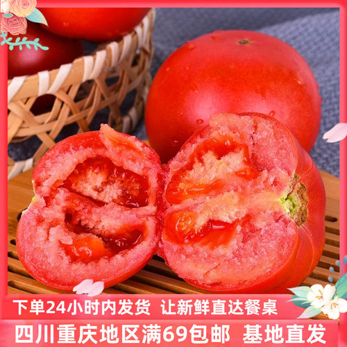 【成都好特蔬】西红柿
