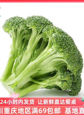 【成都好特蔬】西兰花 broccoli 500g 新鲜时鲜蔬菜 顺丰包邮