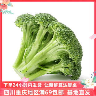 【成都好特蔬】西兰花 broccoli 500g 新鲜时鲜蔬菜 顺丰包邮