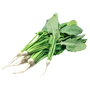 新鲜蔬菜芜菁苗特选千宝苗樱桃白萝卜苗西餐日料食材