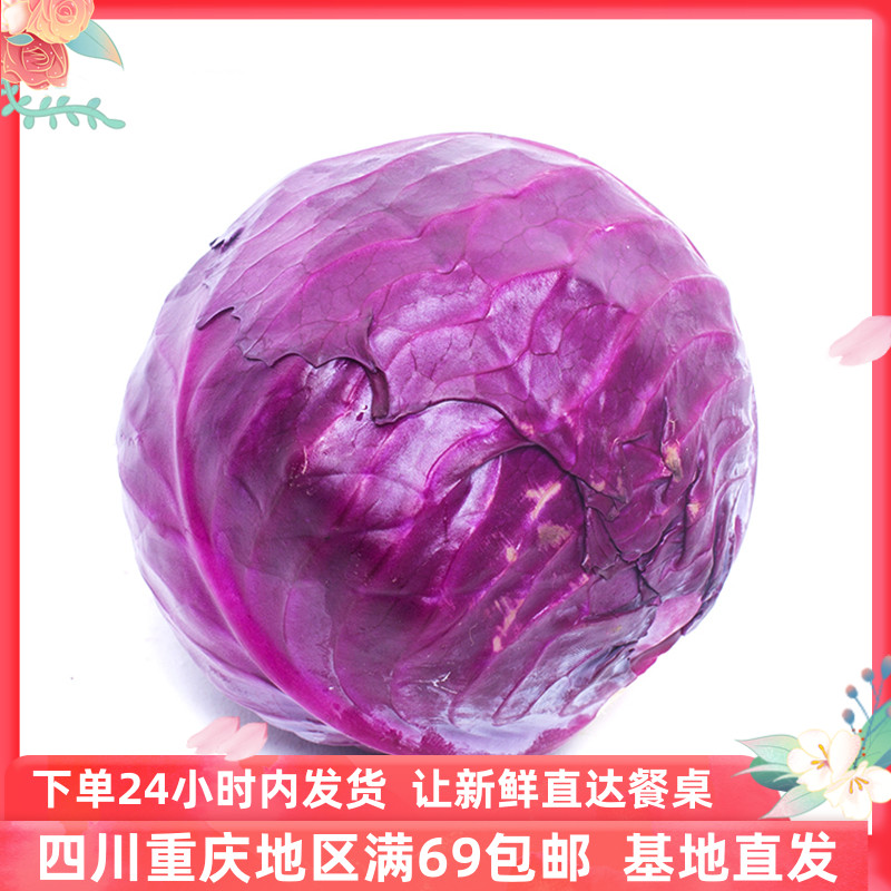 紫甘蓝新鲜西餐沙拉个1kg紫包菜