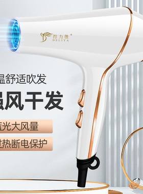 得力雅蓝光吹风机冷热恒温