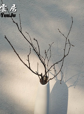 天然白桦树分枝手工干枝插干树枝装饰干花花束造型小花瓶客厅摆件