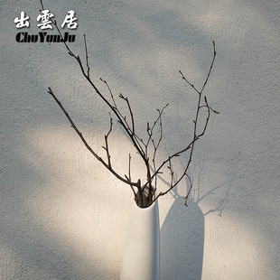 天然白桦树分枝手工干枝插干树枝装饰干花花束造型小花瓶客厅摆件