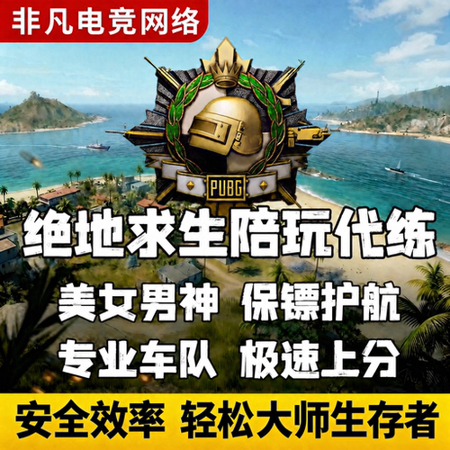 绝地求生PUBG陪玩代练上分车队