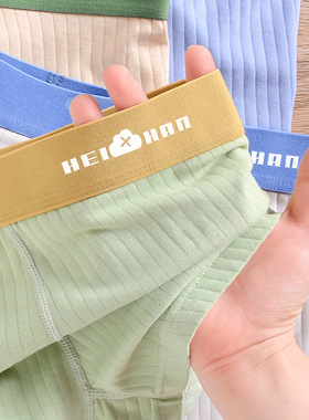 Arrow pants men's underwear pure cotton plus size shorts内裤