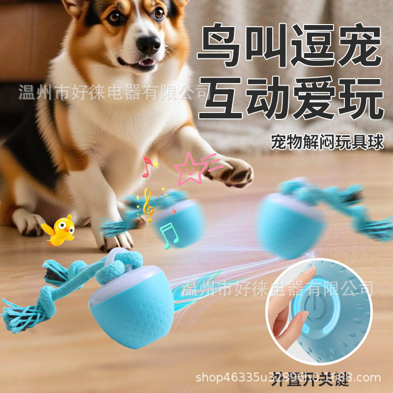 宠物用品狗狗玩具狗玩具宠物玩具电动智能宠物球跳跳球自嗨逗狗球,宠物/宠物食品及用品,套装玩具,淘宝优惠券,粉丝福利购,淘宝优惠卷