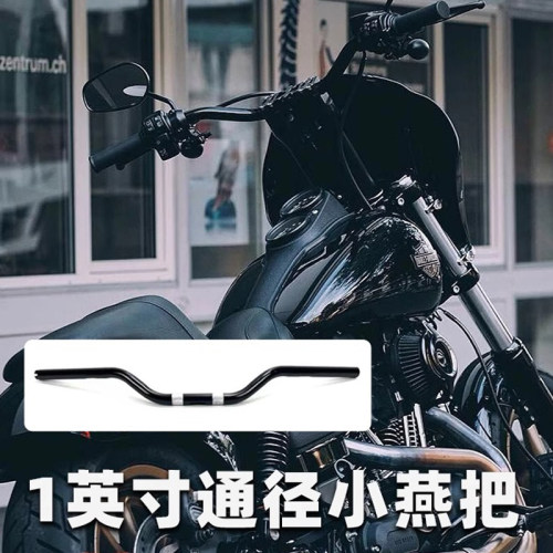 哈雷路威S街霸小燕把黑色改装车