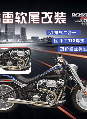 Bassani哈雷肥仔突破街霸路威S司令改装排气管DS风格二合一全段