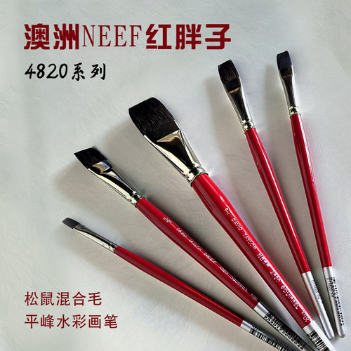 澳洲NEEF松鼠毛混合毛红