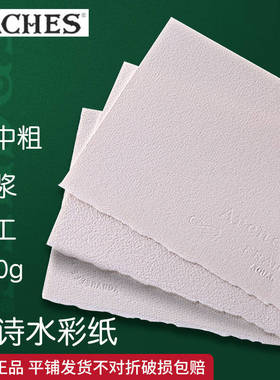 法国进口阿诗水彩纸全棉浆纸300g细纹中粗纹粗纹分装初学者2k4k8k