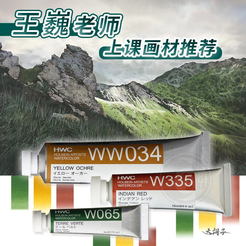 王巍老师课堂推荐荷尔拜因水彩