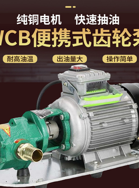 WCB电动抽油泵齿轮泵大流量高粘度自吸式柴油机便携式手提齿轮泵