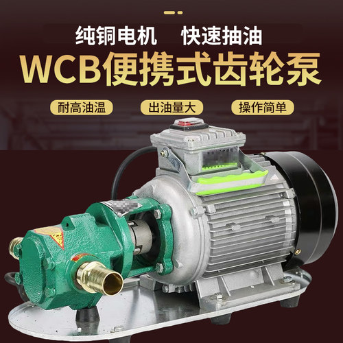 WCB电动抽油泵齿轮泵大流量高粘度自吸便携式柴油泵手提齿轮泵