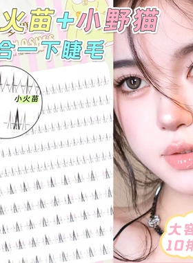 梦鹿小火苗小野猫混合装下睫毛超自然分段式单簇新手假排女卷翘