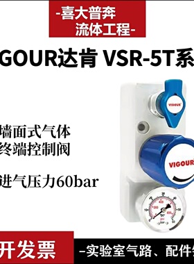 VIGOUR达肯 墙面式气体终端调节阀 通风柜控制阀 减压器VSR-5T