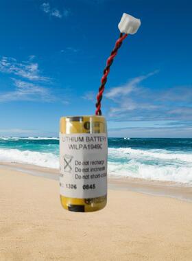 原装WILPA1949C BR-2/3A Schneider Modicon施耐德3V电池