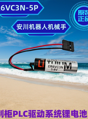ASKAWA/安川机器人电池控制柜NX100/DX100/DX200电池ER6VC3N