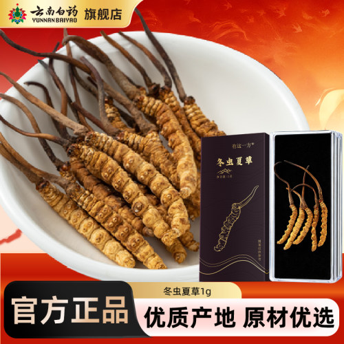 云南白药冻干冬虫夏草1g