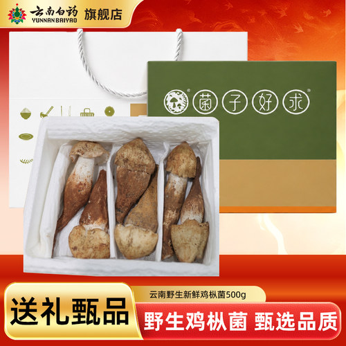 云南白药旗舰店新鲜鸡枞菌2026年现货鸡纵云南野生菌特产鲜鸡棕菌