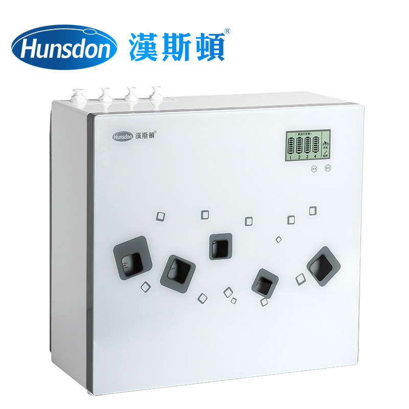汉斯顿净水器家用厨房直饮无桶双水ro反渗透纯水机hsd-600g1706