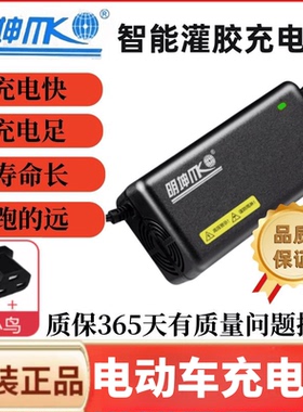 小鸟电动车充电器智能灌胶防水微电脑48V12Ah/60V20Ah/72V20ah/4A