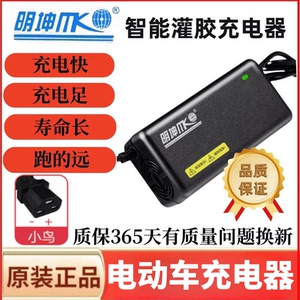 小鸟电动车充电器智能灌胶4A