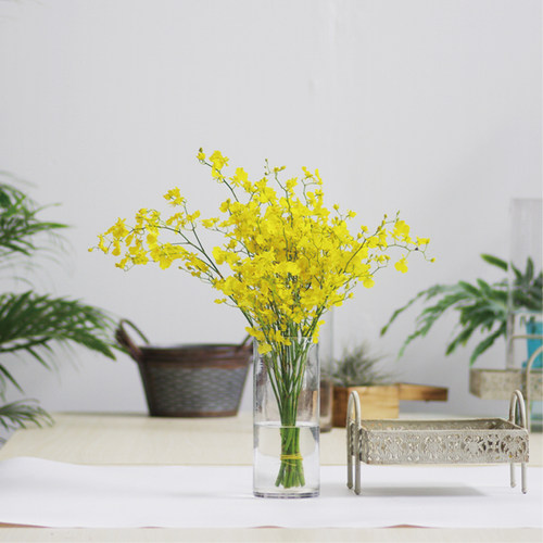 跳舞兰鲜切花黄色柠檬黄文心兰高端婚庆花材昆明斗南直发顺丰空运