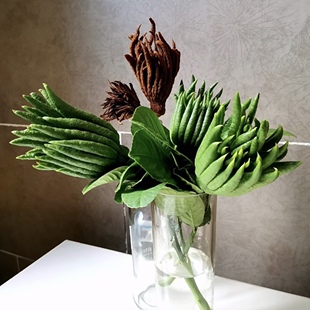 佛手柑小众稀有精品应季花材家庭瓶插花艺婚庆节日比赛装饰花束