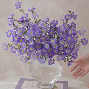 紫苑孔雀草鲜切花小众精品花材家庭瓶插花艺婚庆节日比赛装 饰花束