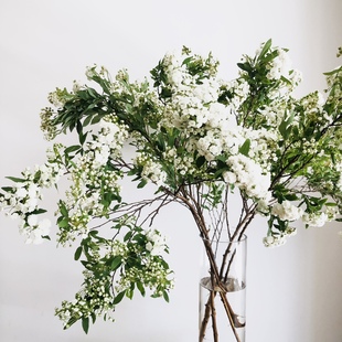 小手球鲜切花小众稀有精品花材家庭瓶插花艺婚庆节日比赛装饰花束