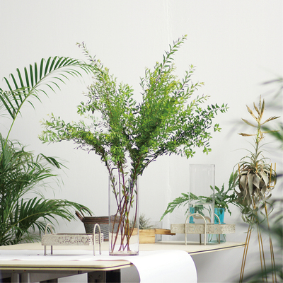 雪柳叶鲜切花大型花艺独立瓶直达