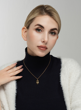 西洋欧美风萌酷可爱丛林精灵猫头鹰森女文艺范百搭项链