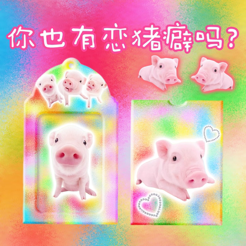 新款猪猪PVC卡套自制小卡收纳展示背包挂件送朋友抽象PVC土味卡套