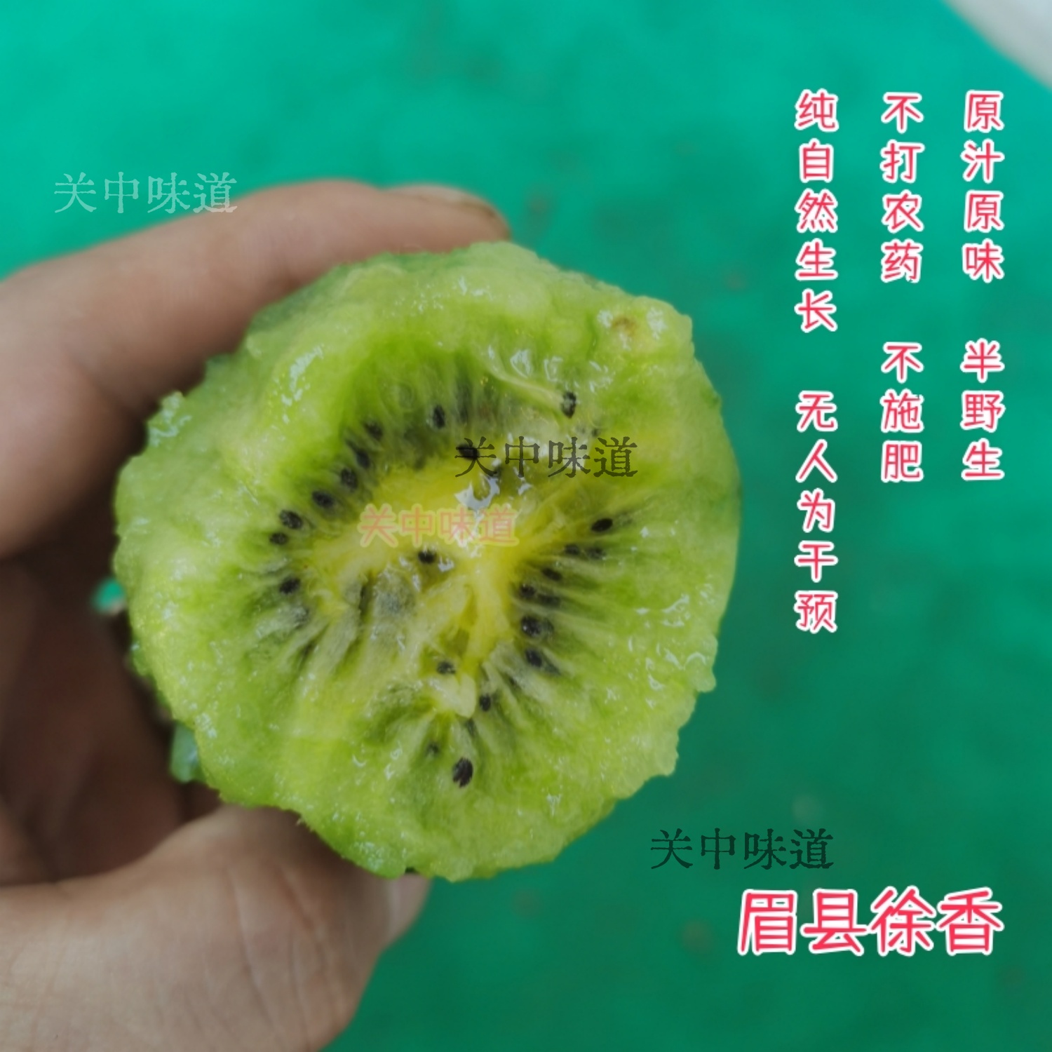 【半野生猕猴桃】眉县徐香