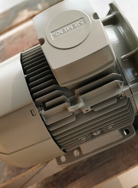 进口西门子电机1LE1001-1DB43-4FA4-Z15KW4极立式异步交流电动机