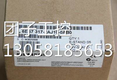 ！6ES7 317-2AK14-0AB0 S7 - 300CPU 317- 2 DP 6ES7317-2AK14-0A