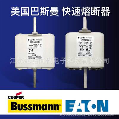 原装正品巴斯曼快速熔断器电子元器件170M2618 170M2619 170M2620