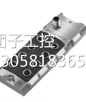 ￥巴鲁夫 BHS001L+BES 516-300-S135-S4-D 询价