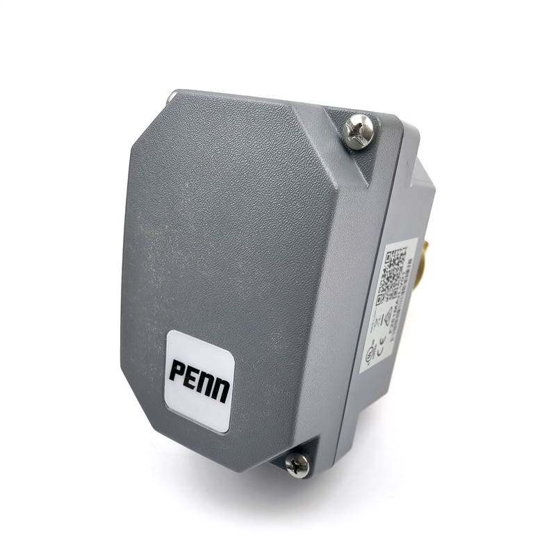 美国江森水流靶式流量开关 F61KB-11C F261KAH-V01C F261MAH-V01C