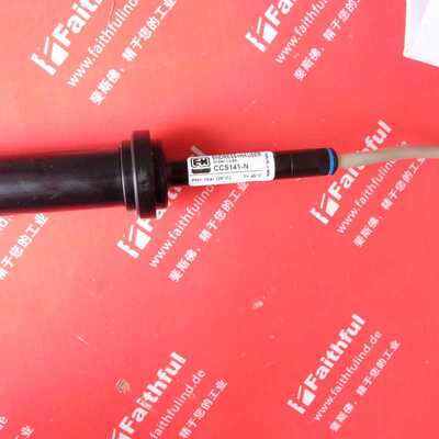 @E+H CCS141-N 恩德斯豪斯全新模拟式消毒传感器 痕量传感器询价