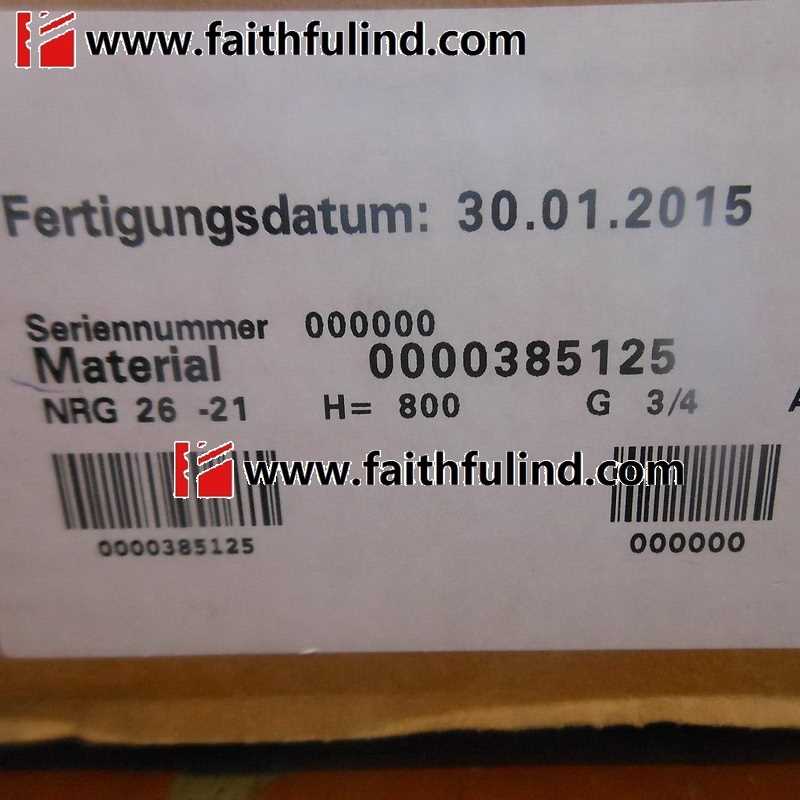 @GESTRA NRG 26-21 杰斯特拉全新液位传感器 H=800 G=3/4询价