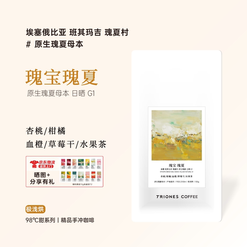 埃塞班其马吉 瑰夏村 原生瑰夏母本 瑰宝瑰夏 日晒精品手冲咖啡豆