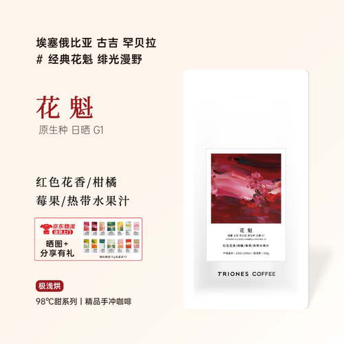 埃塞古吉罕贝拉 花魁 日晒 柒号豆仓产地直采 精品手冲冷萃咖啡豆