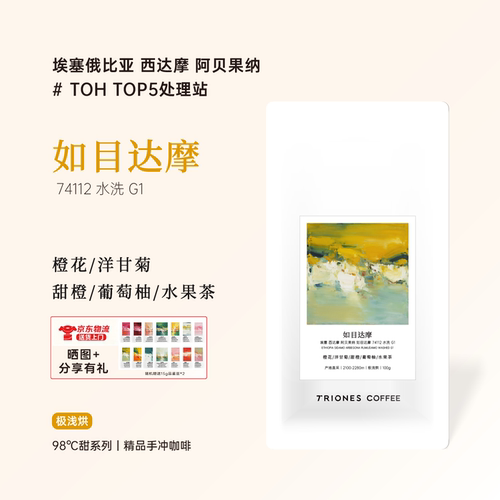 埃塞 西达摩 TOH Top5处理站 如目达摩 水洗 柒号精品手冲咖啡豆