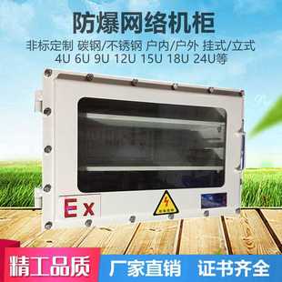 防爆网络机柜工业交换机碳钢6U9U12U24U不锈钢防爆网络机箱防爆箱