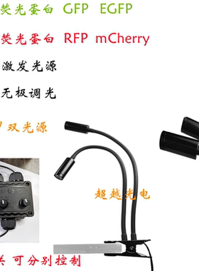 荧光蛋白绿色 488NM 532nm 激发光GFP RFP 双光源可调节红色荧光