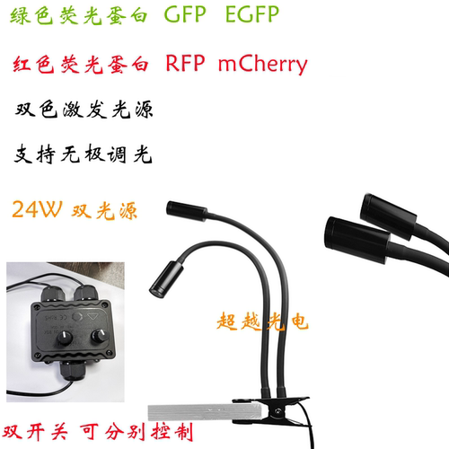 GFP激发绿光研发科研激发荧光实验测试光源 激发光488nm EGFP RFP
