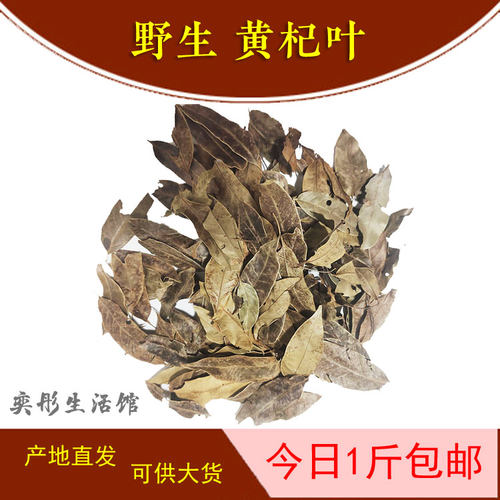 高山凉茶黄杞叶天然土特产