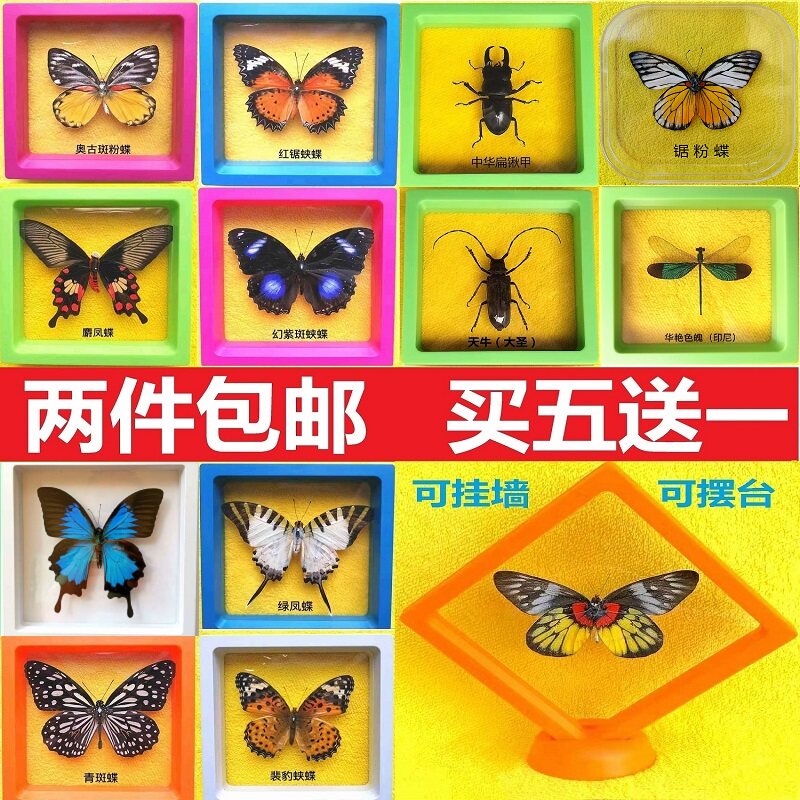 昆虫标本盒 图片 价格 多少钱 什么值得买
